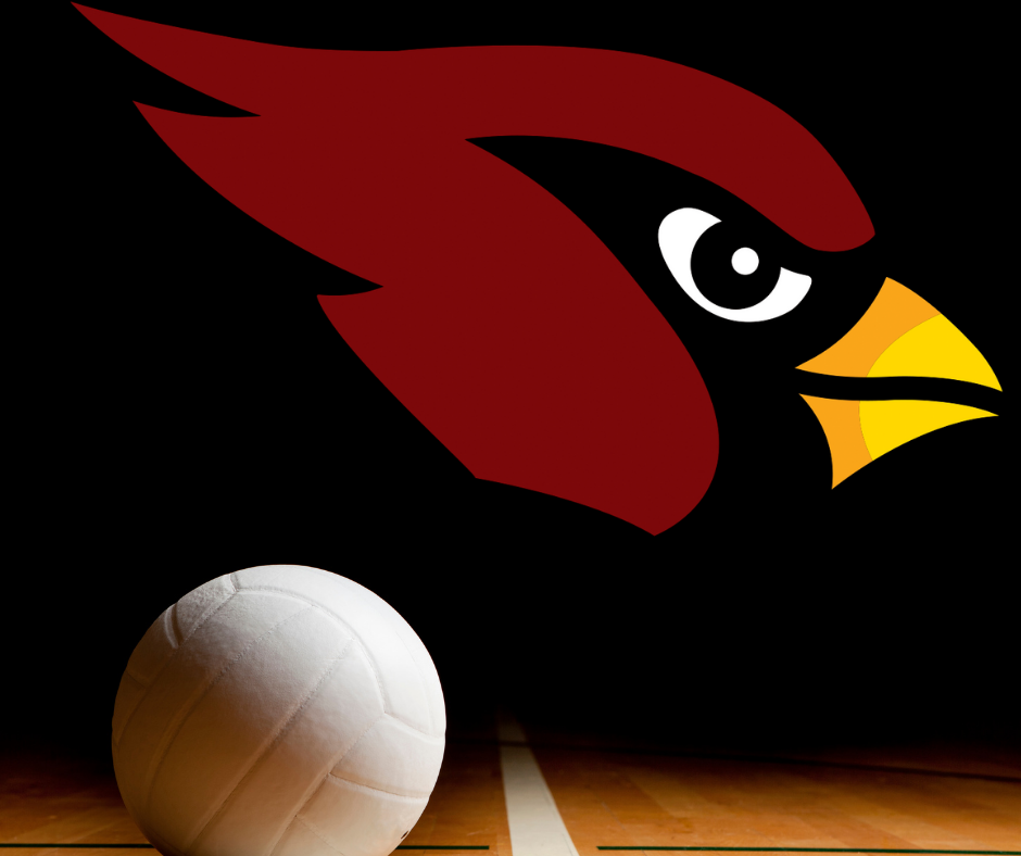 Cardinal Volleyball image with volleyball and Mayville Cardinal head logo on a court with a black faded background
