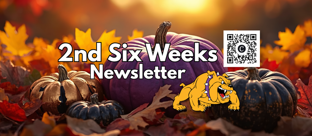 2nd 6 Weeks Newsletter