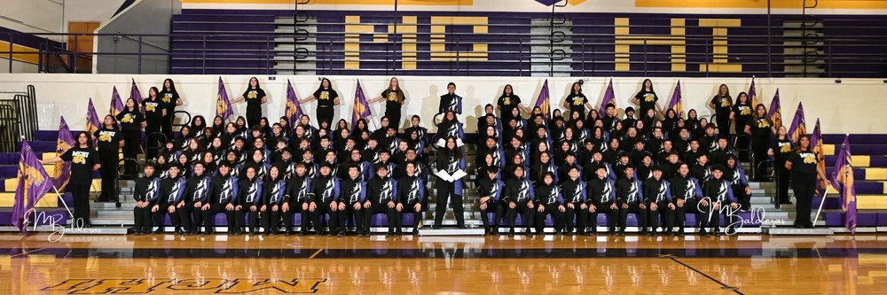 McAllen High band