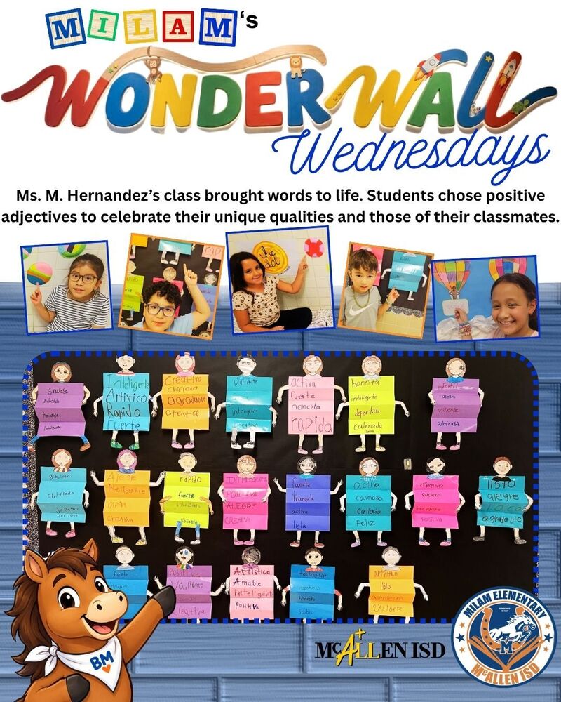 Wonder Wall Wednesday
