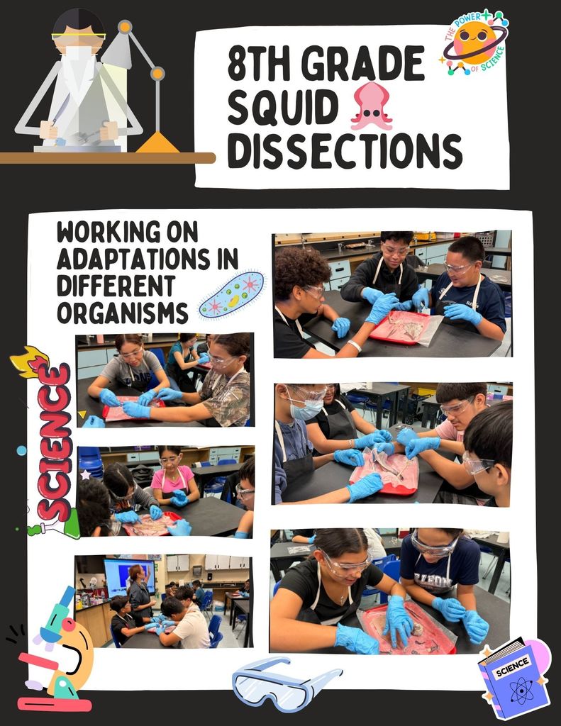 8th Grade Squid Dissections in Science