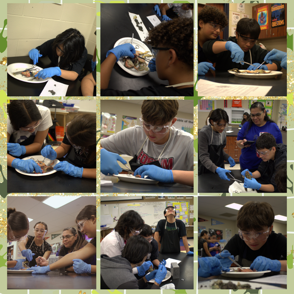 Our 7th grade science students took a hands-on leap into biology this week with frog dissections! From organs to anatomy, they explored the inner workings of complex systems up close. š©āš¬šØāš¬ It was a ribbiting experience for our future scientists! š¦ š§