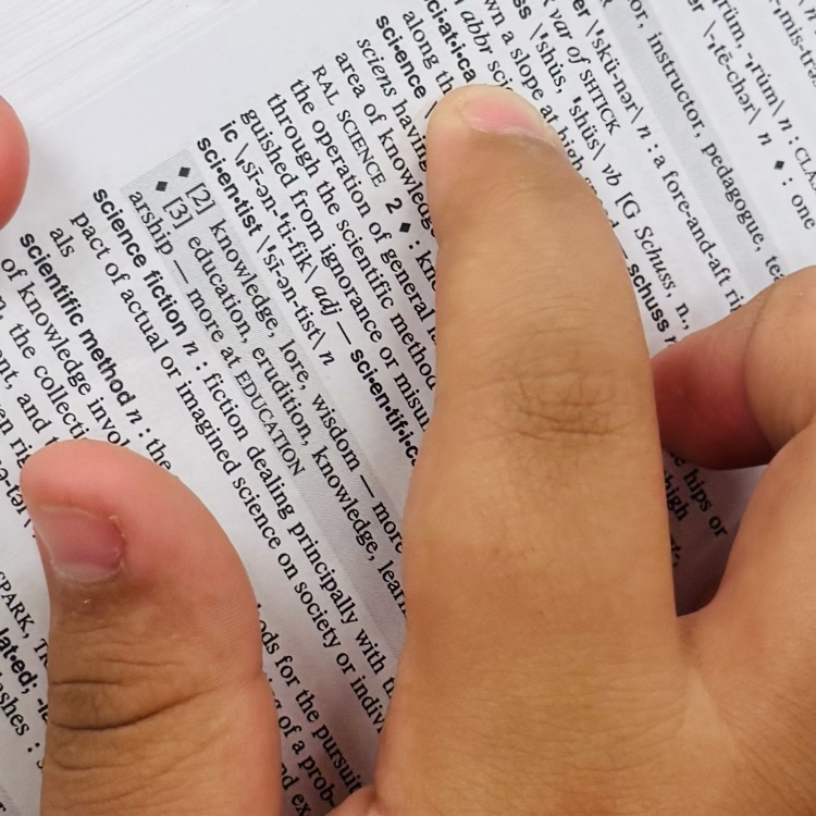 Dictionary Skills 