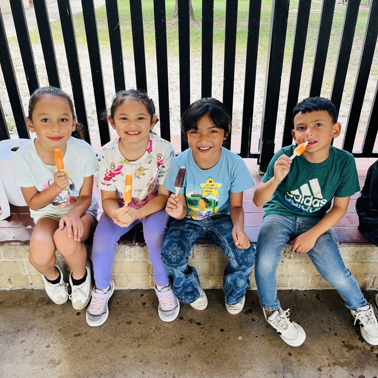 Popsicle Party