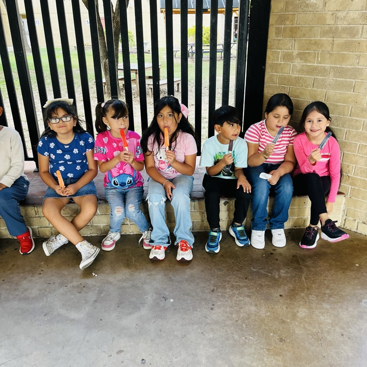 Popsicle Party