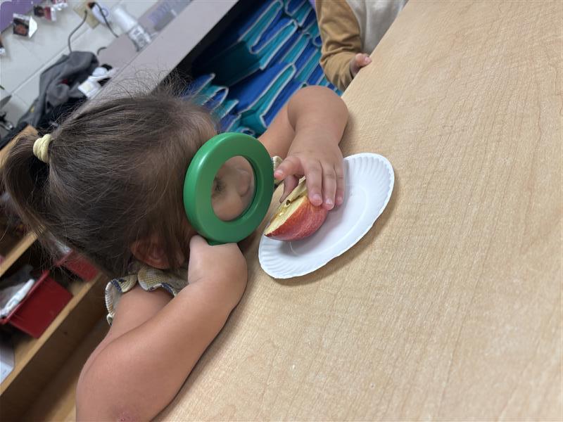 Kids exploring apples.