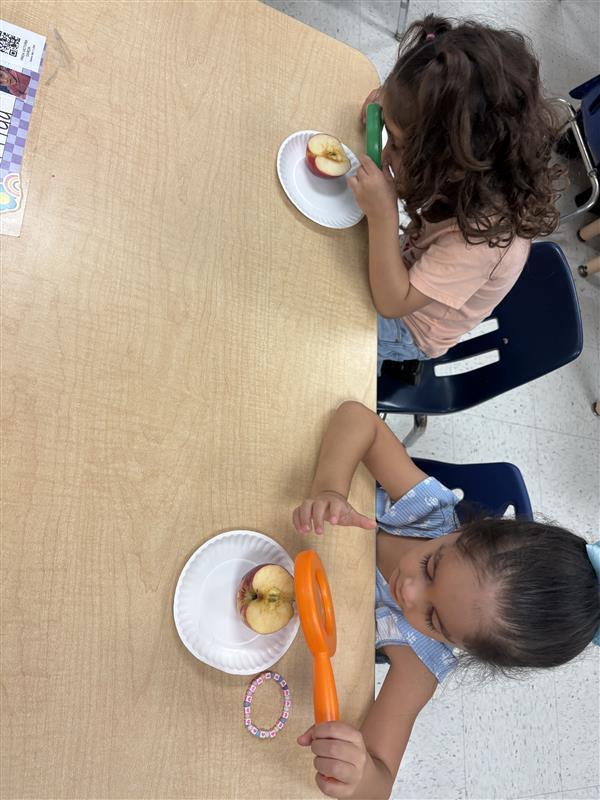 Kids exploring apples.