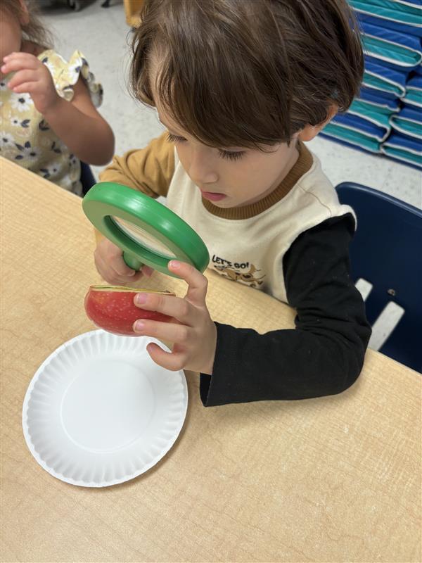 Kids exploring apples.