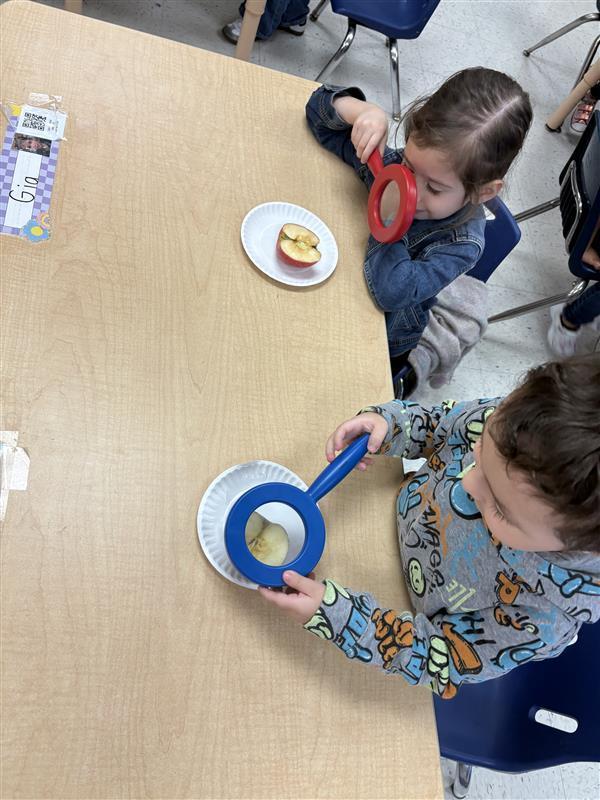 Kids exploring apples.