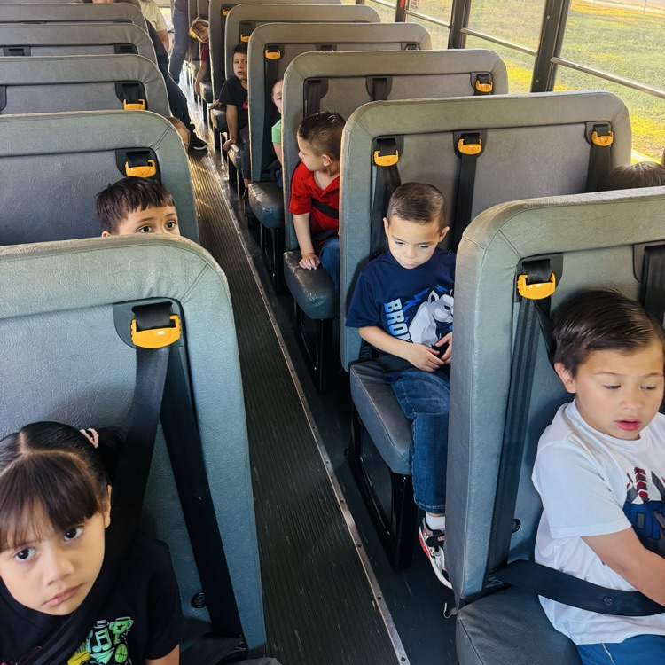 Bus Safety 