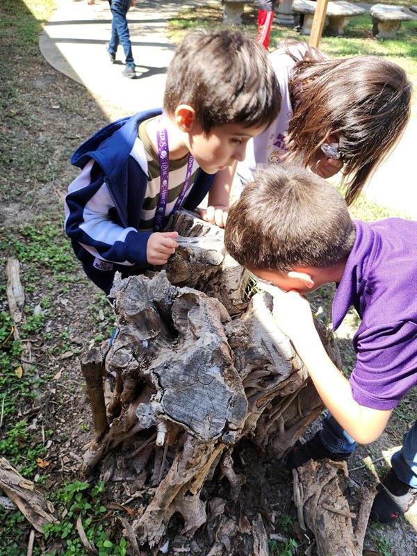 Kids observing nature.