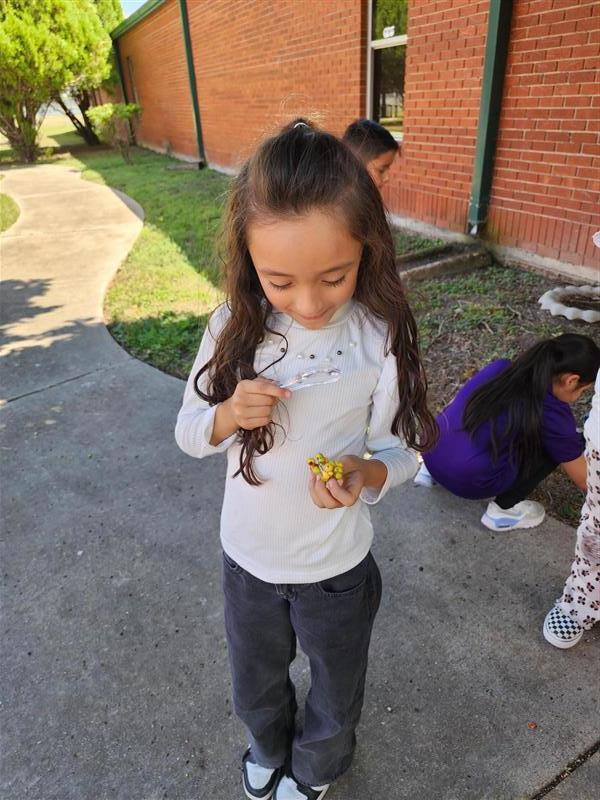 Kids observing nature.