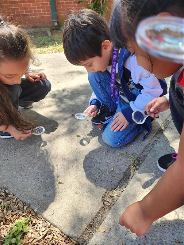 Kids observing nature.