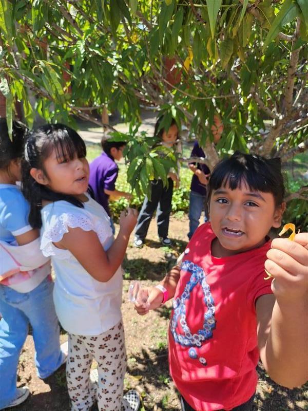 Kids showing living and nonliving things.