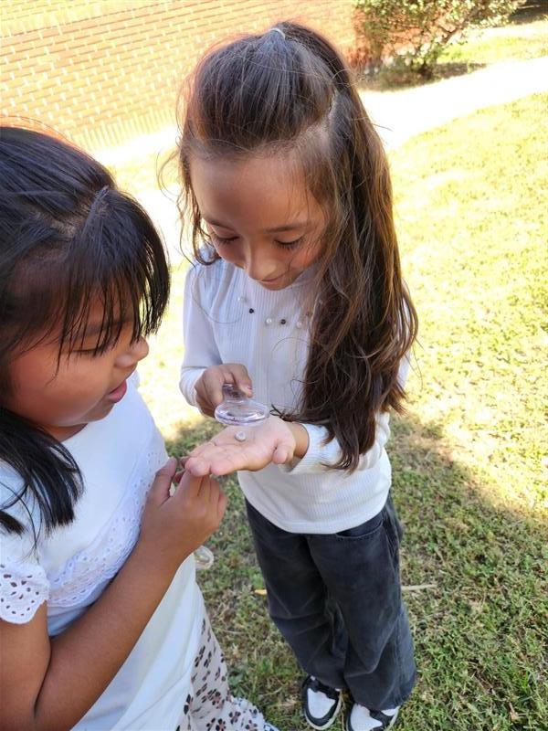 Kids observing nature.