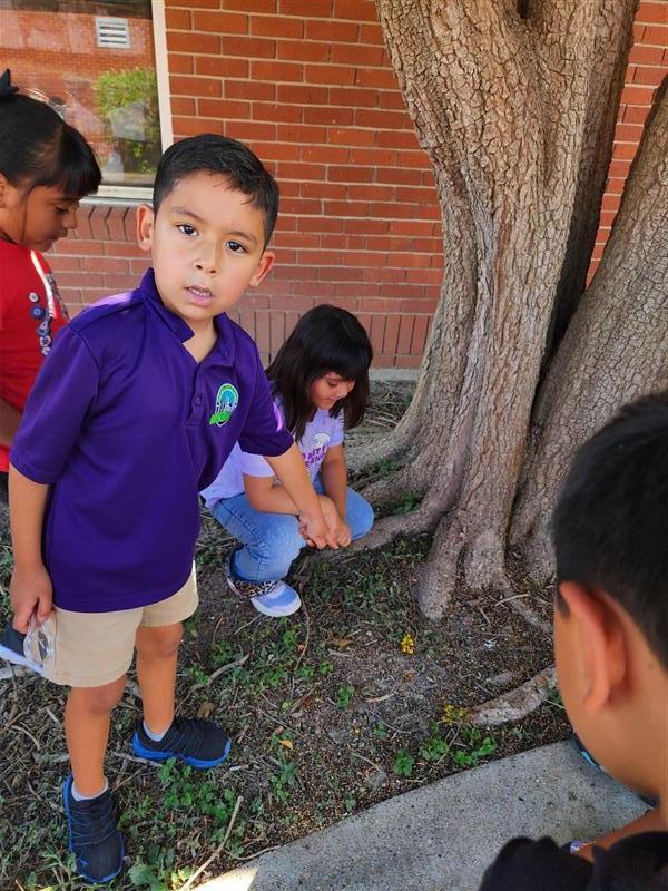 Kids observing nature.