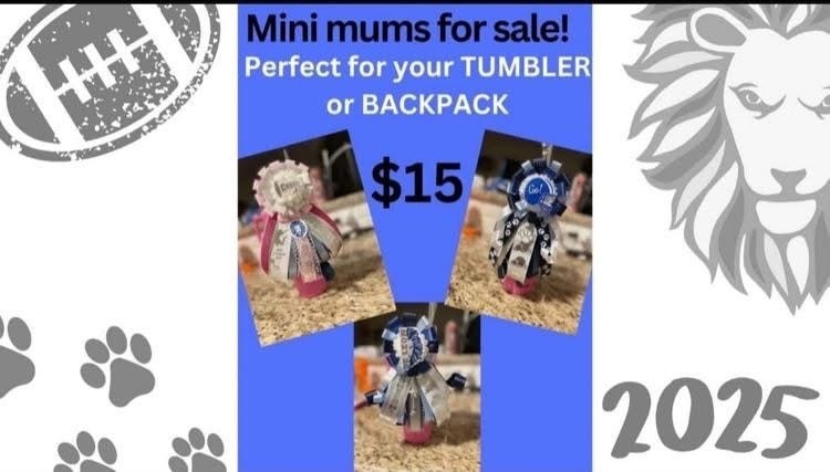 Hoco mums