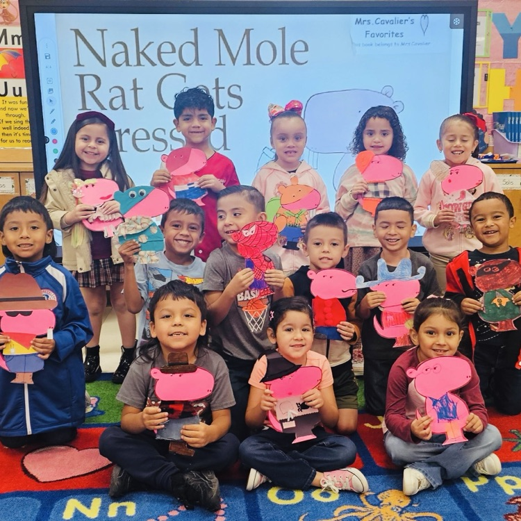 Mole Rat Project 