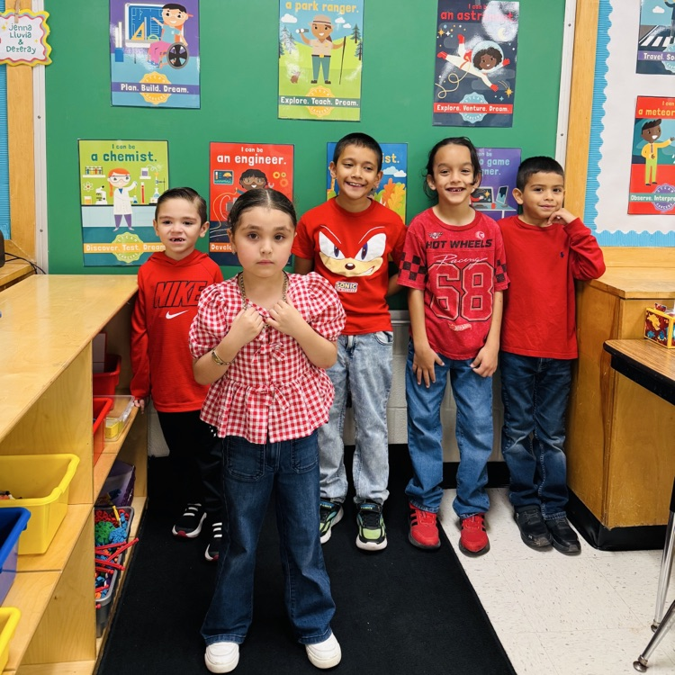 Go Red for Dyslexia 
