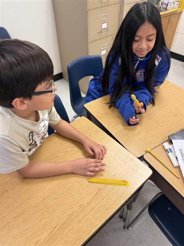 Stem Activities