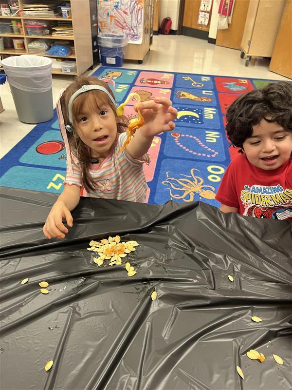 Stem Activities
