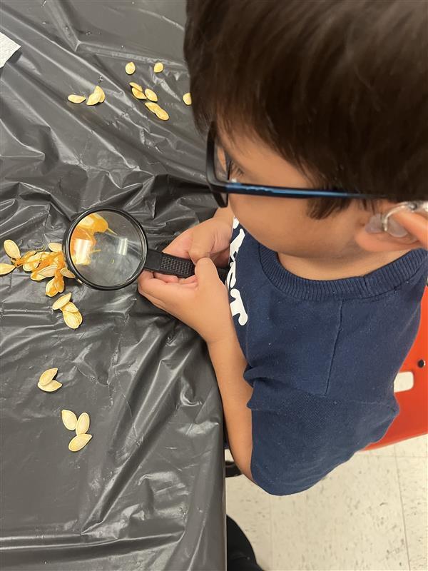 Stem Activities