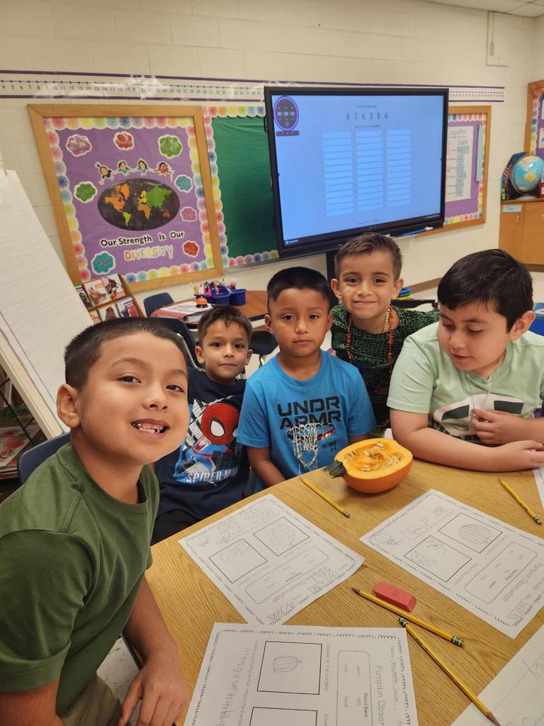 Stem Activities