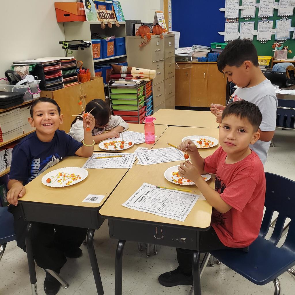 Stem Activities