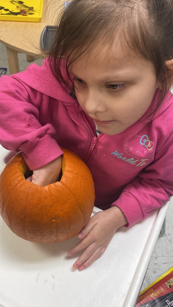 Stem Activities