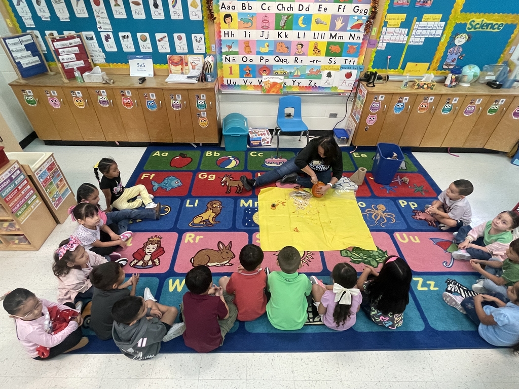 Stem Activities