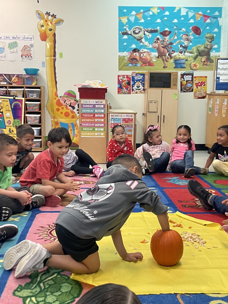 Stem Activities