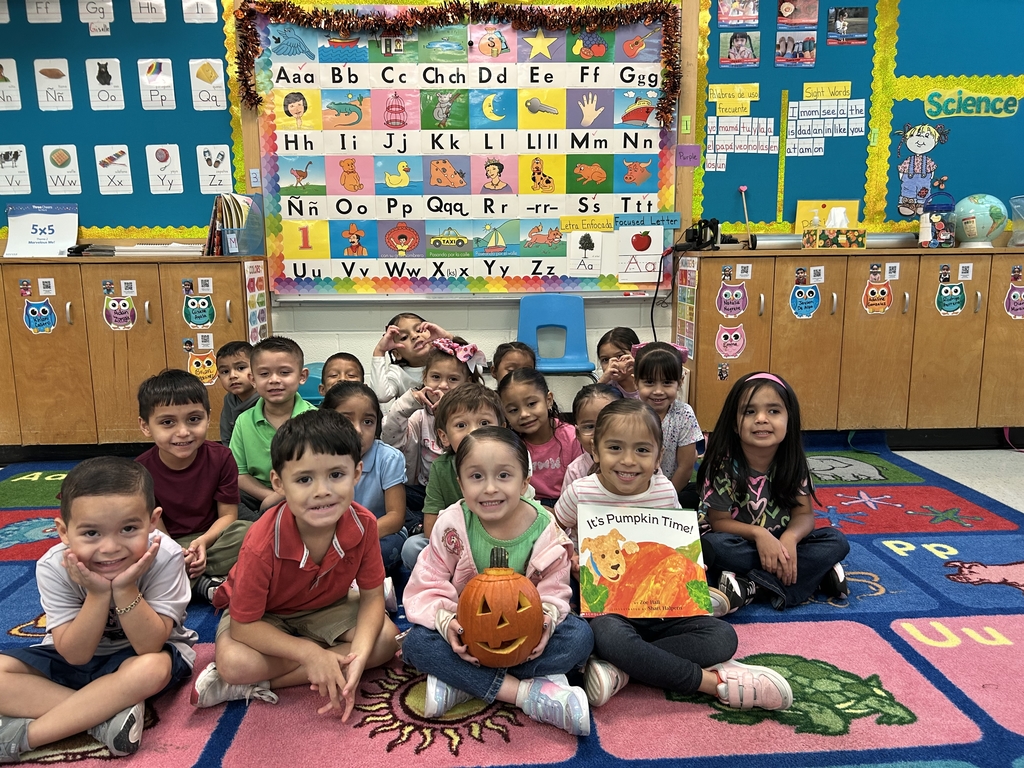 Stem Activities