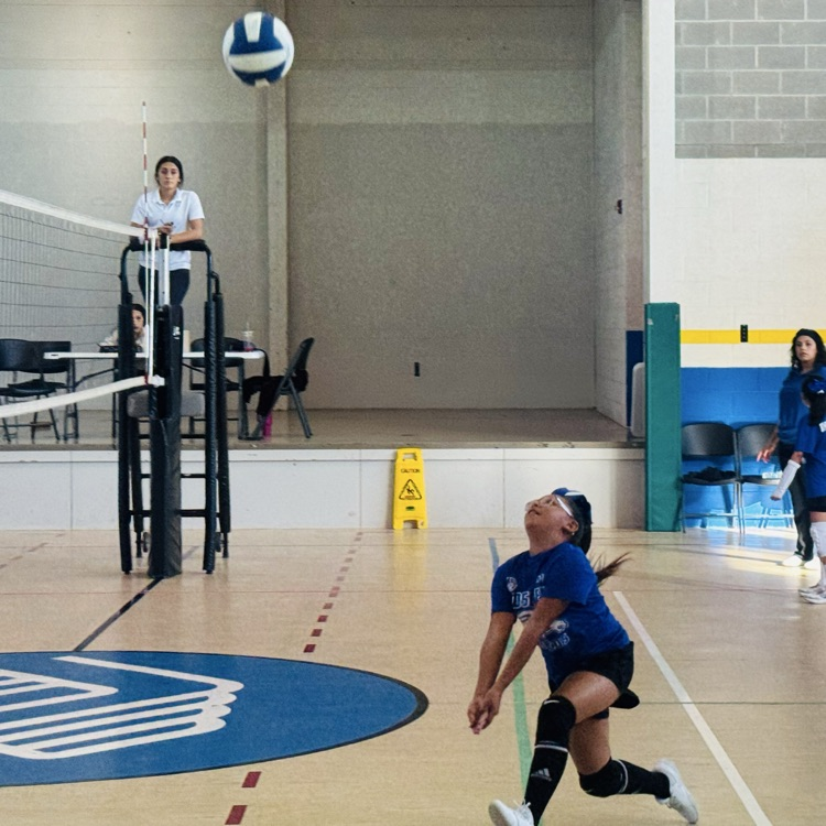 Volleyball
