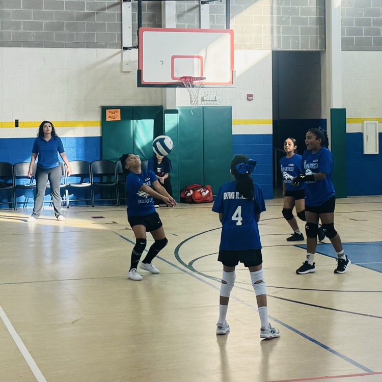 Volleyball