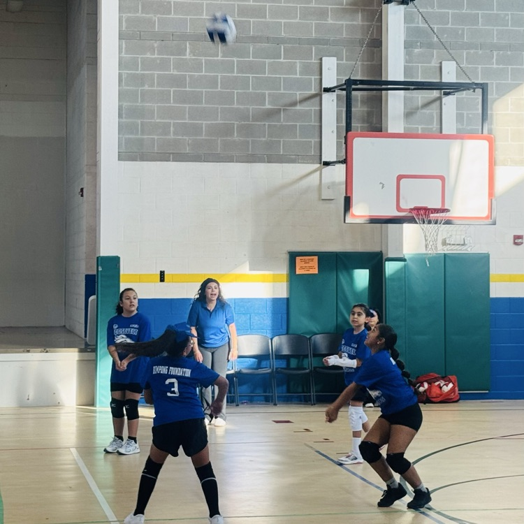 Volleyball