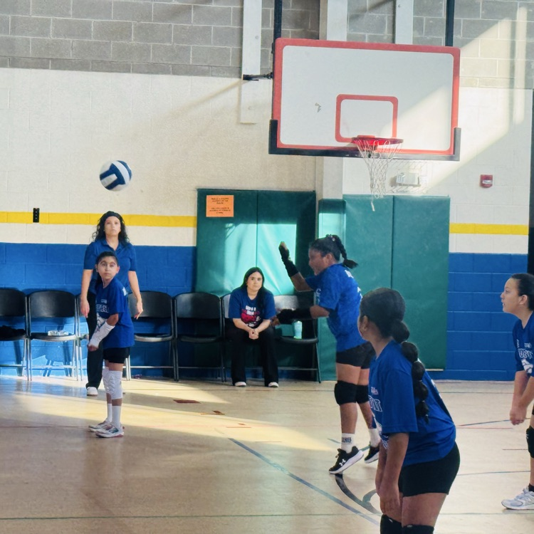 Volleyball