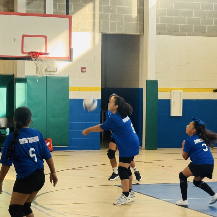 Volleyball