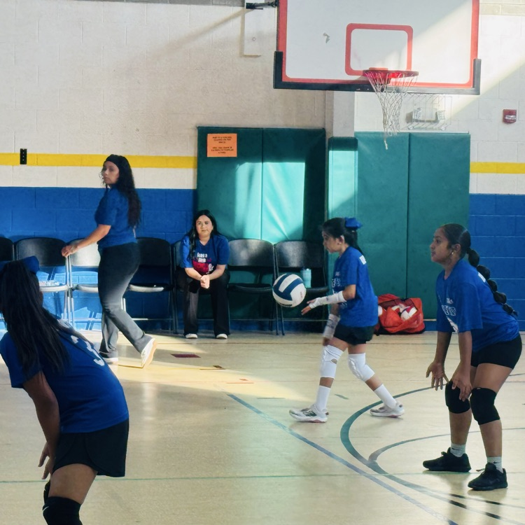Volleyball