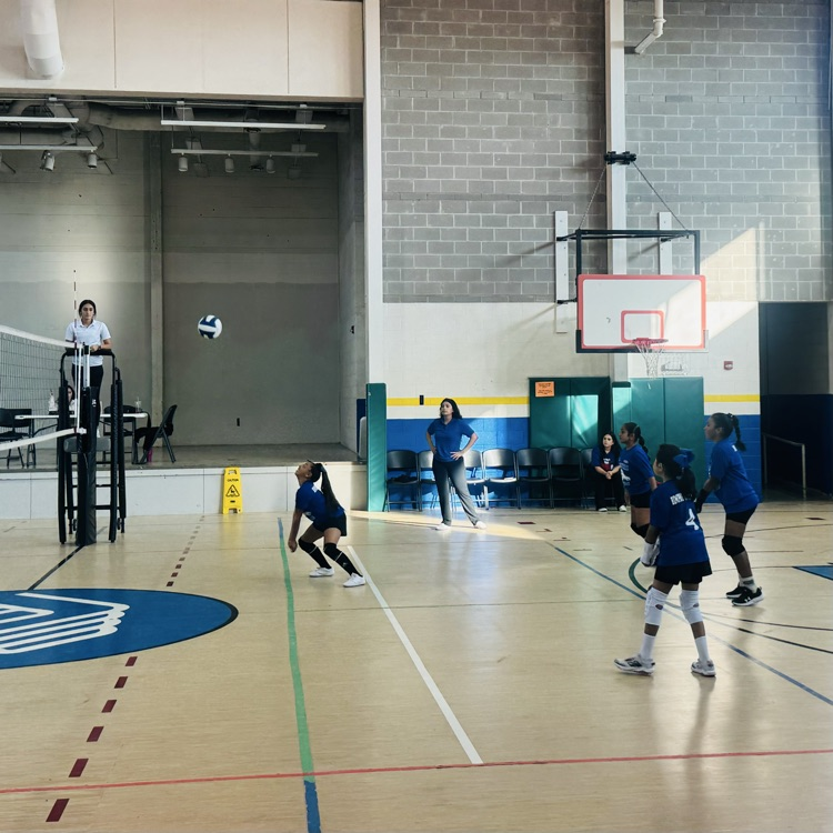 Volleyball
