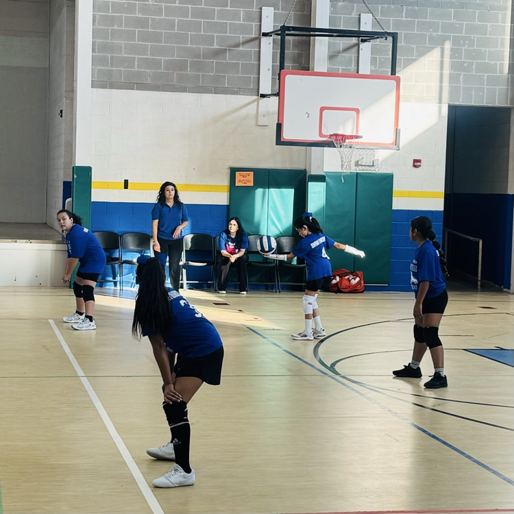 Volleyball