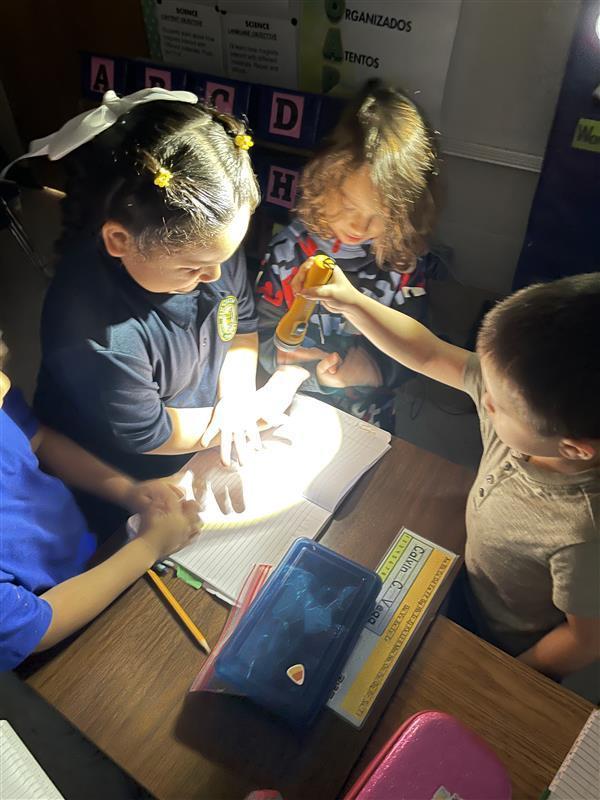 Students using a flashlight to create shadows.