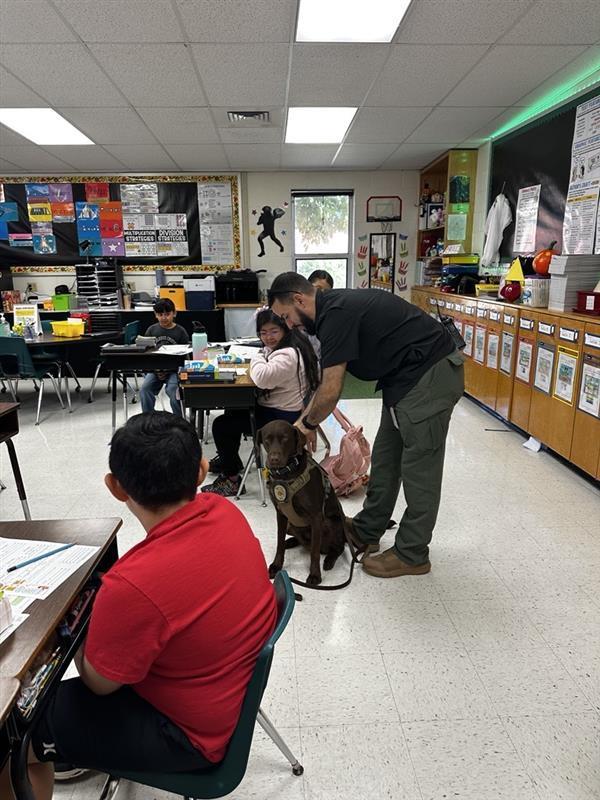Students looking at K9 with handler.