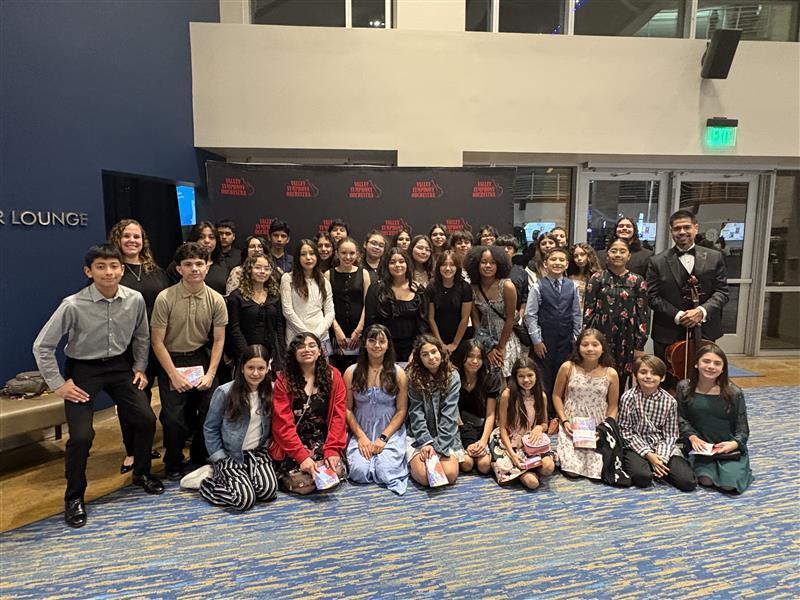 FMS Orchestra students watch the Valley Symphony Orchestra Perform