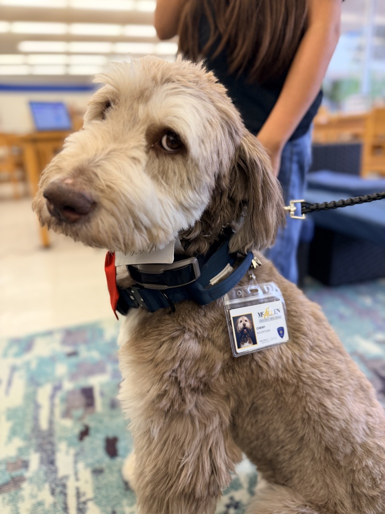 K9 Visit in the Library