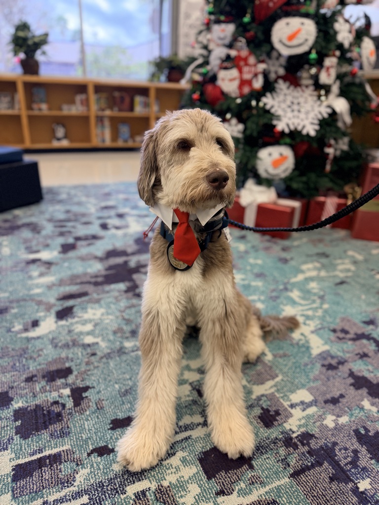 K9 Visit in the Library