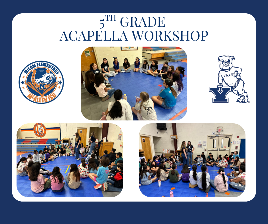 Yale Out of the Blue