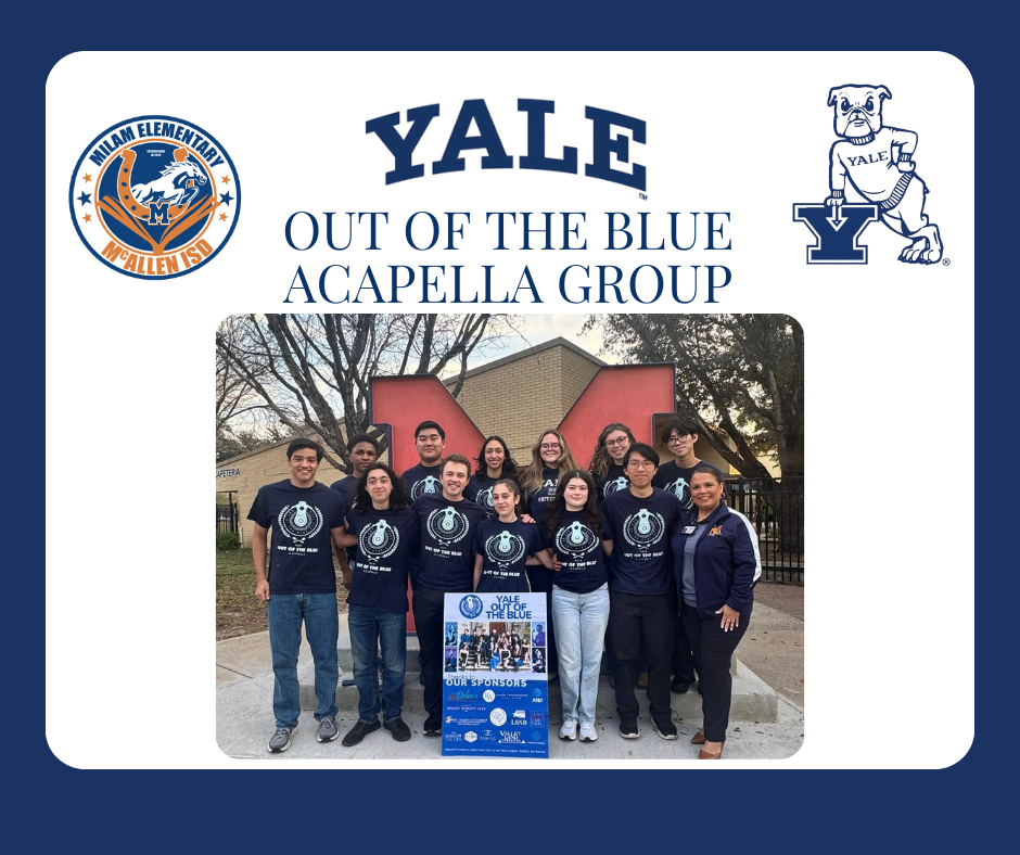 Yale Out of the Blue