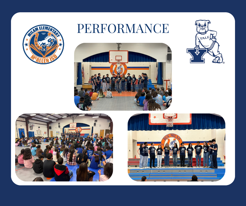 Yale Out of the Blue