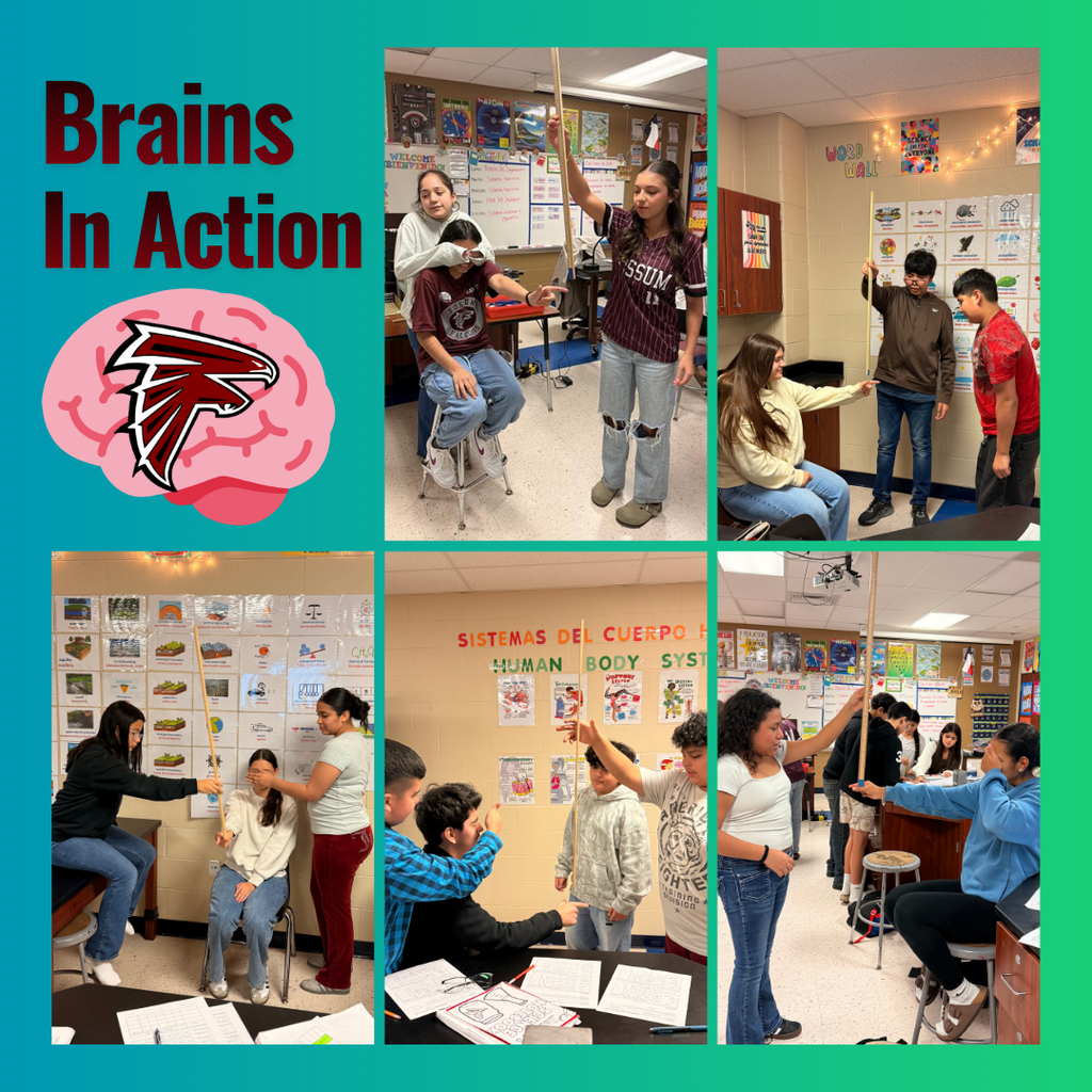 Collage of Fossum Middle School students participating in a science lesson on the human body. Students work in groups measuring height and body features using yardsticks, recording observations, and collaborating in a classroom decorated with science posters. A graphic on the image reads “Brains in Action” with the Fossum falcon logo.