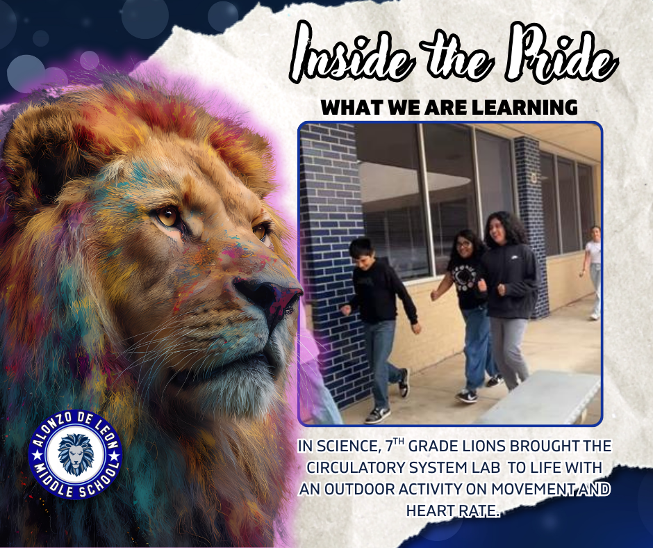 Lion Learning for the Week